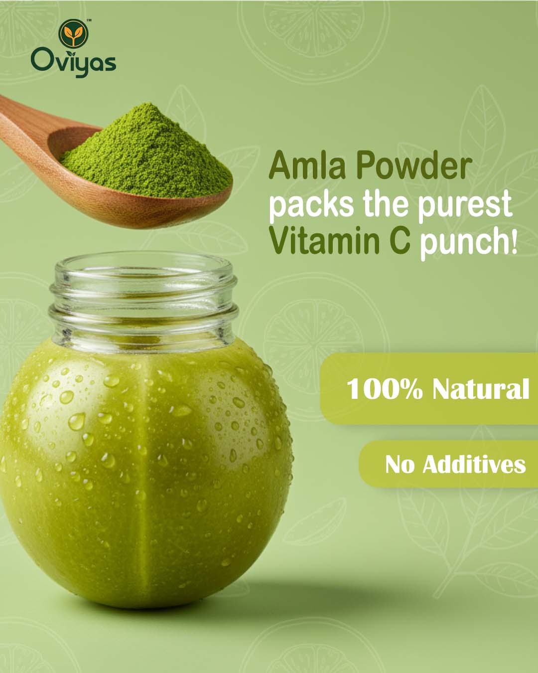 Amla Powder 100 gm